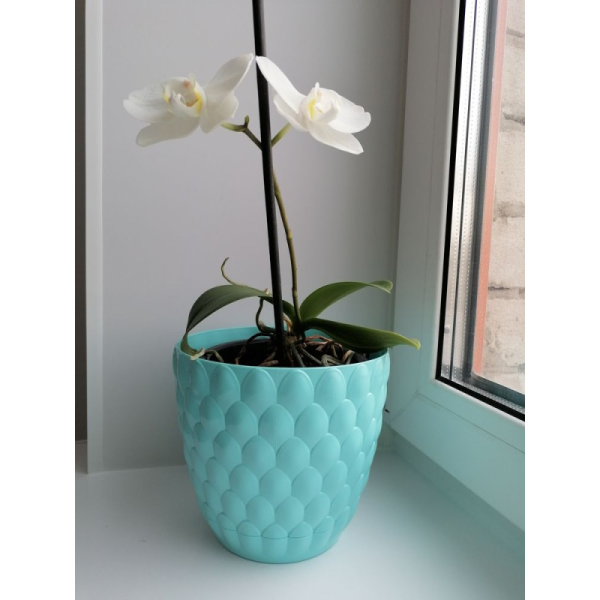 Горщик для квітів 0,75л Alya Plastik PINE CONE (ALY-405) - Зображення 5